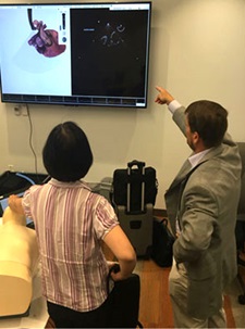 Echo simulation exercise